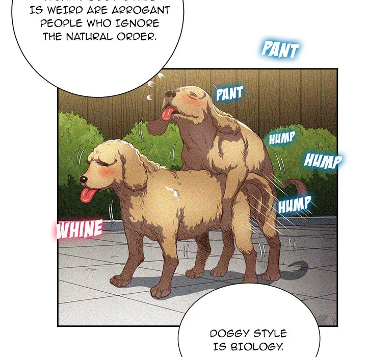 Chapter 2 — Page 46